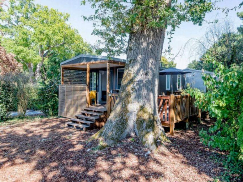 Camping Maeva Respire Domaine Les Oréades Sanguinet Esterno foto